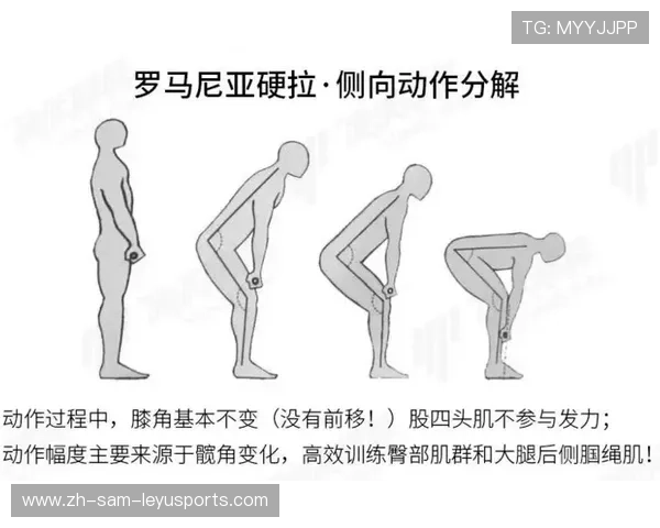 家用硬拉训练器械推荐与标准动作指南