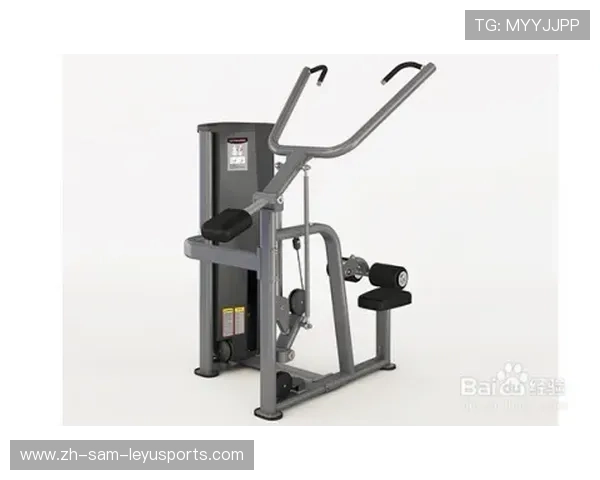 针对腰部训练的健身器材推荐 针对腰部训练的健身器材推荐